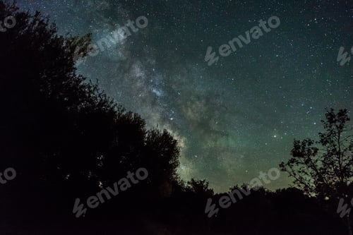 Preview: Milky Way Above Forest