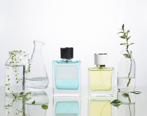 Preview: Perfume bottles and vases with fresh branches and flowers on a glass background.