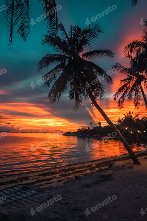 Preview: Palm Trees on White Sandy Beach with Island View in Azure Sea