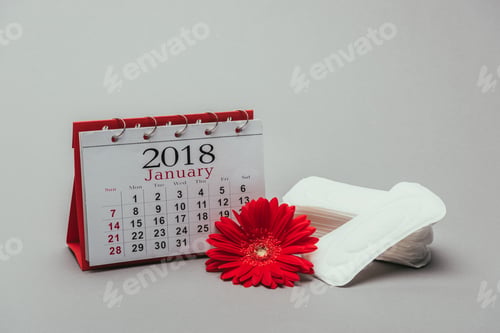 Preview: close up view of calendar, flower and menstrual pads isolated on grey