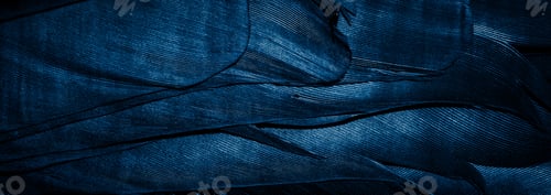 Preview: blue feathers with visible details, background or texture