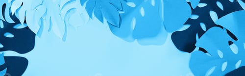 Preview: panoramic shot of paper cut tropical leaves on blue minimalistic background with copy space