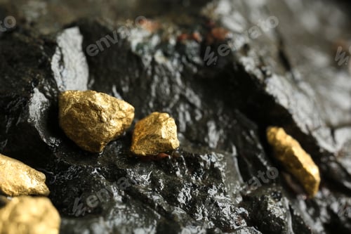 Preview: Shiny gold nuggets on wet stone, closeup. Space for text
