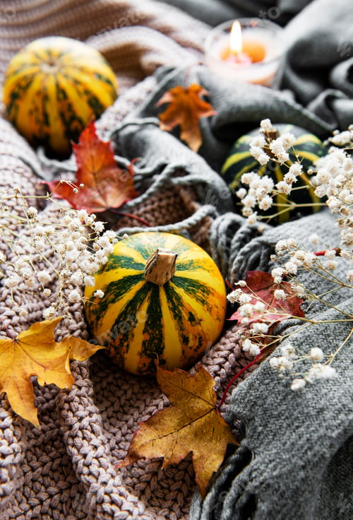 Preview: Autumn pumpkins, knitted scarf, maple leaves