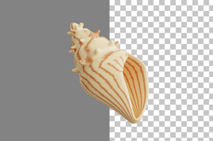 Preview: Shell 3D Icon