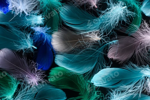 Preview: seamless background with multicolored feathers isolated on black