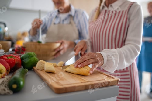 Preview: Midsection of group of senior friends having party indoors, cooking and talking