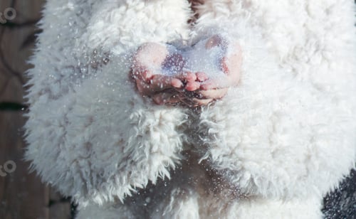 Preview: Girl in the furry coat blowing snow from her hands.