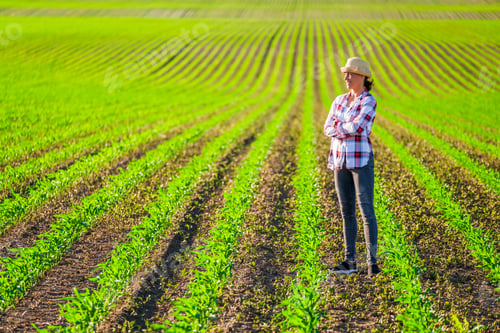 Preview: Agriculture