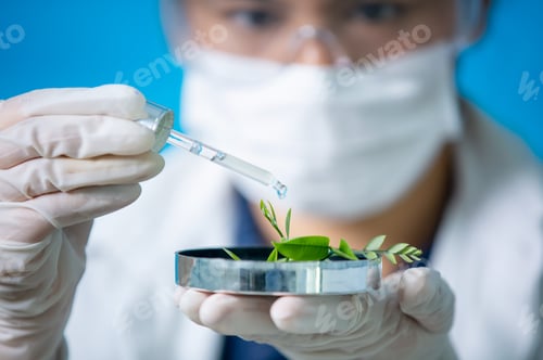 Preview: Scientists researching in laboratory