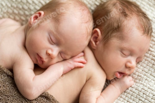 Preview: Portrait of newborn twins sleeping on blanket