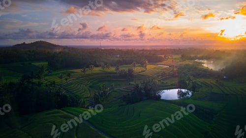 Preview: Beautiful morning view indonesia Panorama Landscape paddy fields with beauty color and sky natural