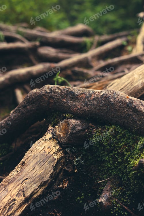 Preview: Beautiful brown natural background