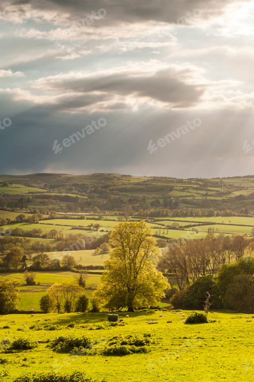 Preview: Autumn colours at sunset, Winchcombe and the Sudely Valley, The Cotswolds, Gloucestershire, England,