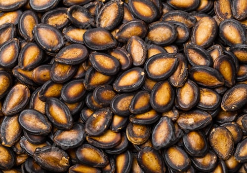 Preview: Black Melon Seeds