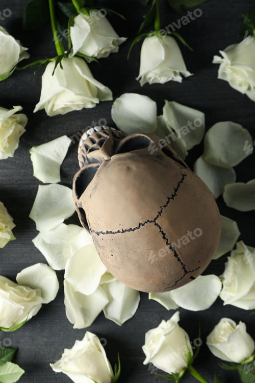 Preview: Skull and white roses on gray wooden background, top view