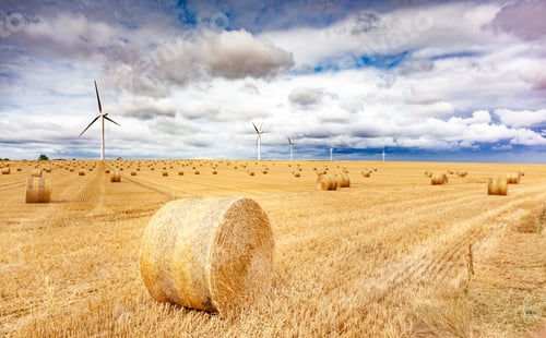 Preview: Windmill turbines in a agricultural landscape with fields and meadows.