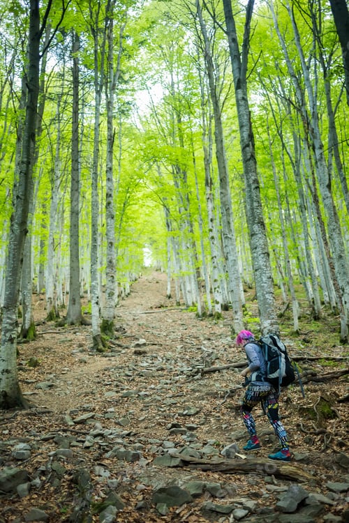 Preview: Hiker Walks Up On A Trail In A Wood