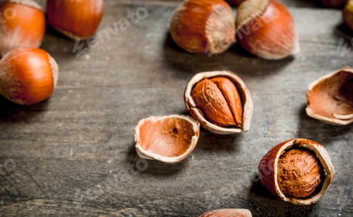 Preview: Hazelnuts in the shell.