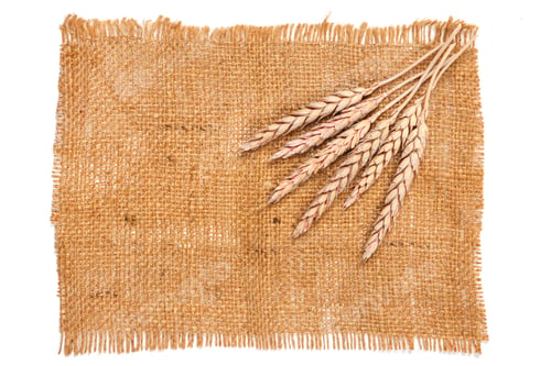 Preview: Sackcloth and wheat