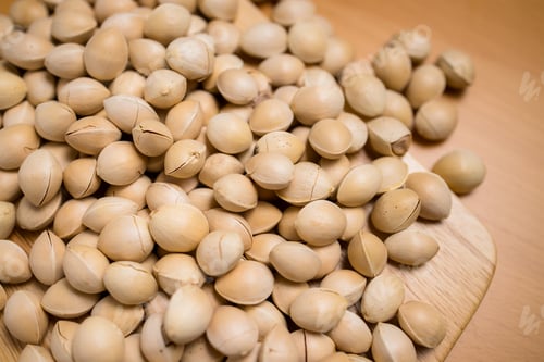 Preview: Stack of the ginkgo biloba seed nut
