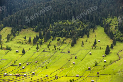 Preview: Rural landscape of the Bukovina Region, Sadova, Romania