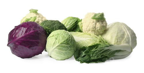 Preview: Many different fresh ripe cabbages on white background