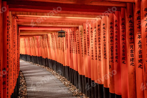 Preview: Fushima Tori Gate, Kyoto