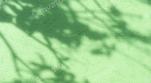 Preview: Abstract Background Shadow Leaves