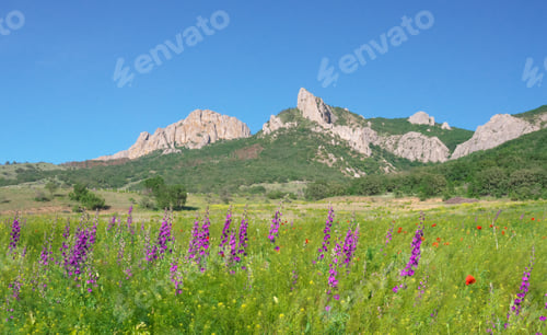 Preview: Mountain peak and wildflowers