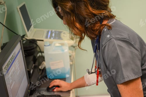 Preview: Veterinarian using a computer while working at the clinic