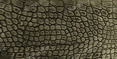 Preview: Snake skin background. Close up.