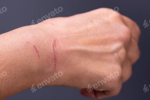 Preview: Cropped Image Of Person Hand With Cat Paw