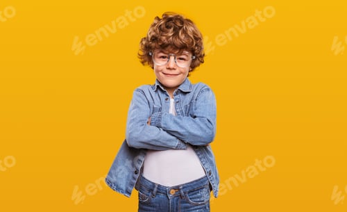 Preview: Confident schoolboy in glasses looking at camera