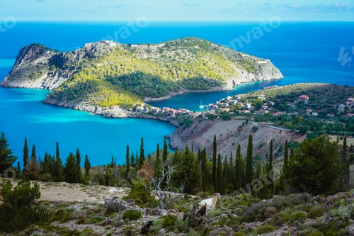 Preview: Two goats animal standing under cypress trees against amazing mountainous landscape of Assos in