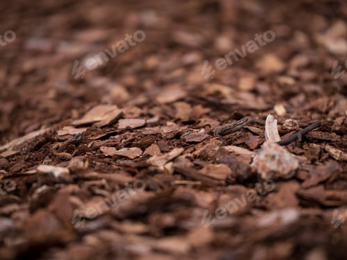 Preview: there is a closeup photo of a leaf mulch