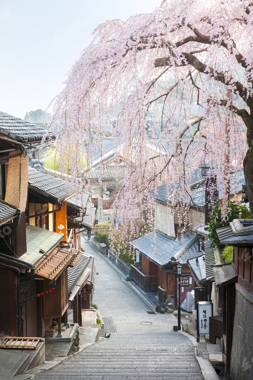 Preview: Sannenzaka Street with Cherry Blossoms, Kyoto, Japan