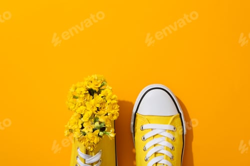 Preview: Concept of different casual attire and clothes - shoes