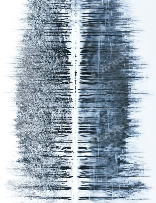 Preview: Mesmerizing view of a reflective lake with leafless snow-covered trees in the forest