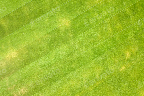 Preview: Close up aerial view of surface of green freshly cut grass on football stadium in summer.