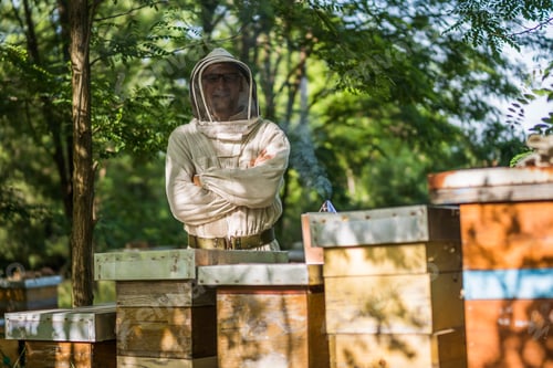 Preview: Beehives and beekeeper