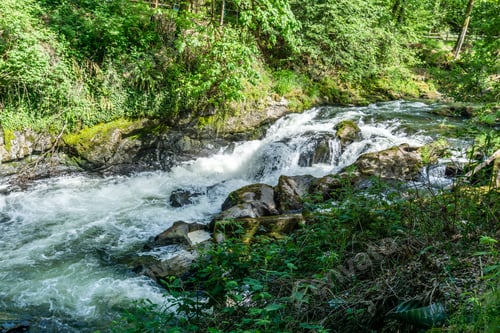 Preview: A View Of Rapids On The Deschutes River In Tumwater, Washington.