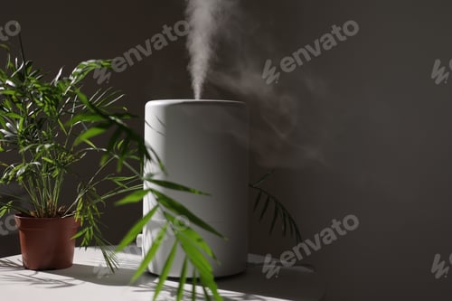 Preview: Air purifier and humidifier releases strong stream of cold steam close green houseplant. Care