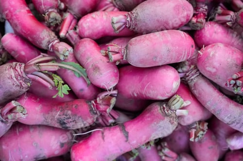 Preview: Top view of a vibrant assortment of beets