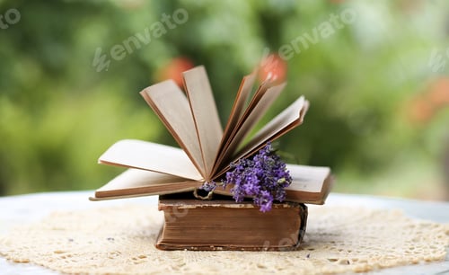 Preview: Open book and lavender flower in a garden. Selective focus.
