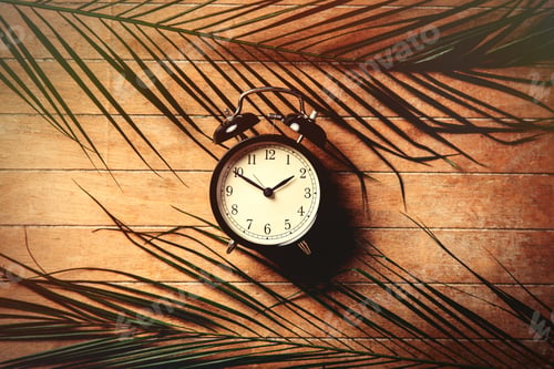 Preview: Vintage alarm clock and palm leaves on wooden table.