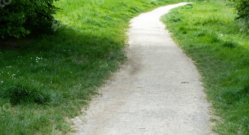 Preview: Empty winding white gravel footpath between fresh green grass with tiny flower. Close up view
