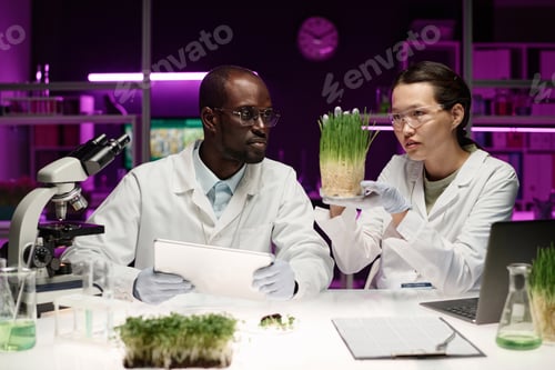Preview: Two Biracial Scientists Discussing Growth oh Herb Sample