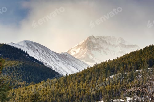 Preview: Rocky Mountains with sunlight shining in pine forest at countryside