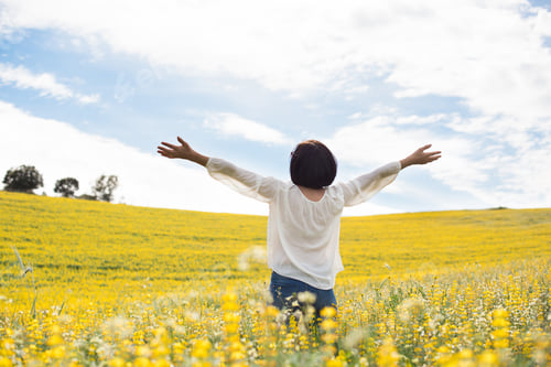 Preview: Woman in yellow field